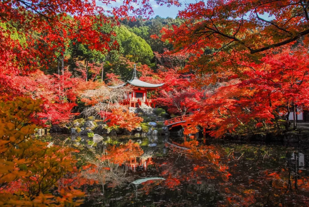 Daigoji_Bentendo_Autumn_Leaves