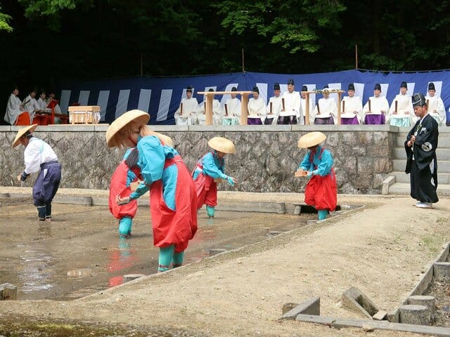 Minakuchi Hashu-sai (Rice Planting Festival)