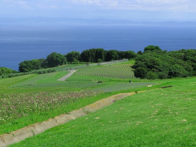 Awaji Island 
